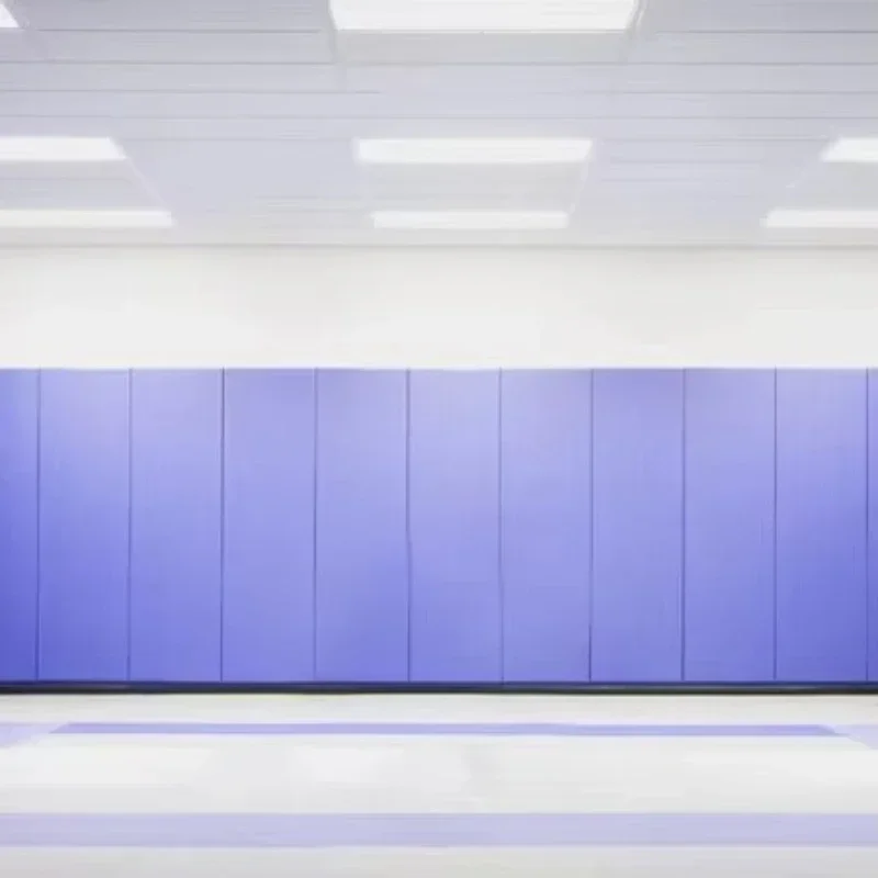 5Cm wall protection mat, wallboard mat, filled with plywood wall lining, suitable for gyms