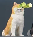 yellow Shiba Inu