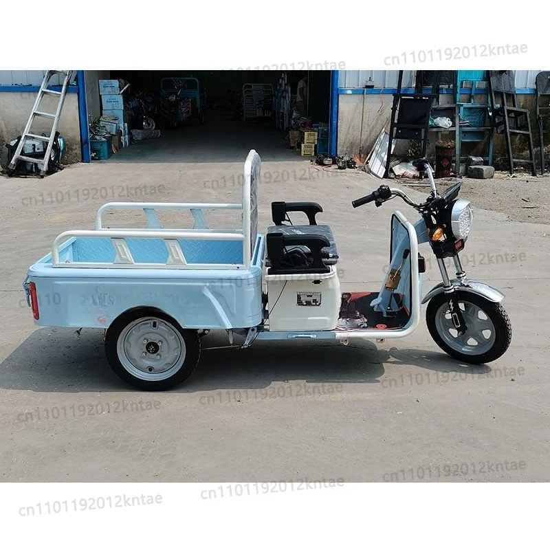 600W/48v20ah Model Mini  Open Body Cargo Electric Adult Multifunction Tricycle Folding Electric Car and Cargo Tricycle