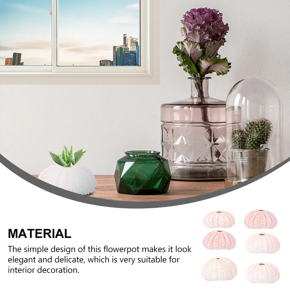 

6 Pcs DIY Conch Shell Sea Home Decor Air Plants Holders Planter Pot Creative Tabletop