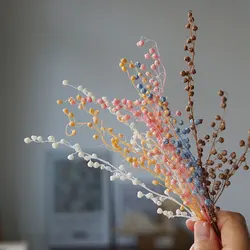 10g/Mini Bean Dried Preserved Flowers For Home Decor DIY Flower for Aromatherapy Candle for Resin Fillings