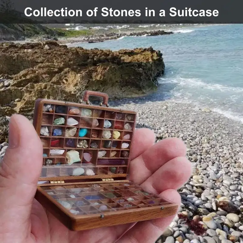 Rock and Mineral Collection Kit Crystal Box Stone Collection Suitcase Outdoor Decorations Crystal Embellished