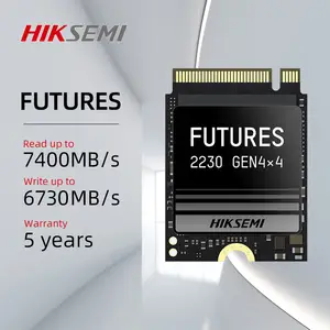 HIKSEMI 1TB future M.2 SSD 2230 NVMe PCIe Gen 4x4 SSD for Steam Deck ROG FLOWZ13 Surface ProX Laptop - AliExpress HIKSEMI 1TB future M.2 SSD 2230 NVMe PCIe Gen 4x4 SSD for Steam Deck ROG FLOWZ13 Surface ProX Laptop - AliExpress