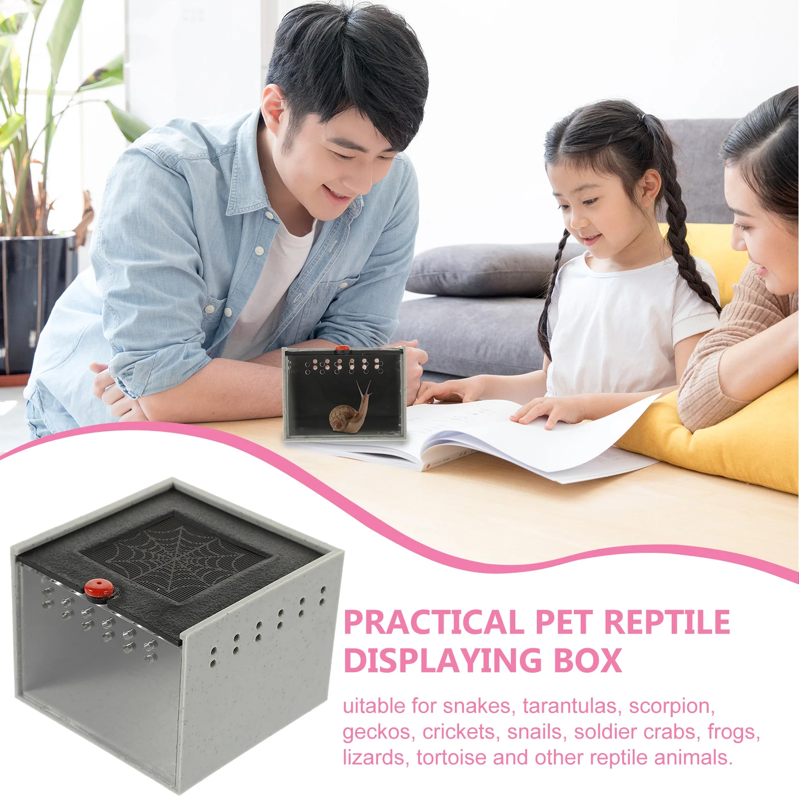 

Jumping Spider Ventilation Glass Container Insect Observation Tank Terrarium Cage Acrylic Reptile Habitat Boxes Small Enclosure