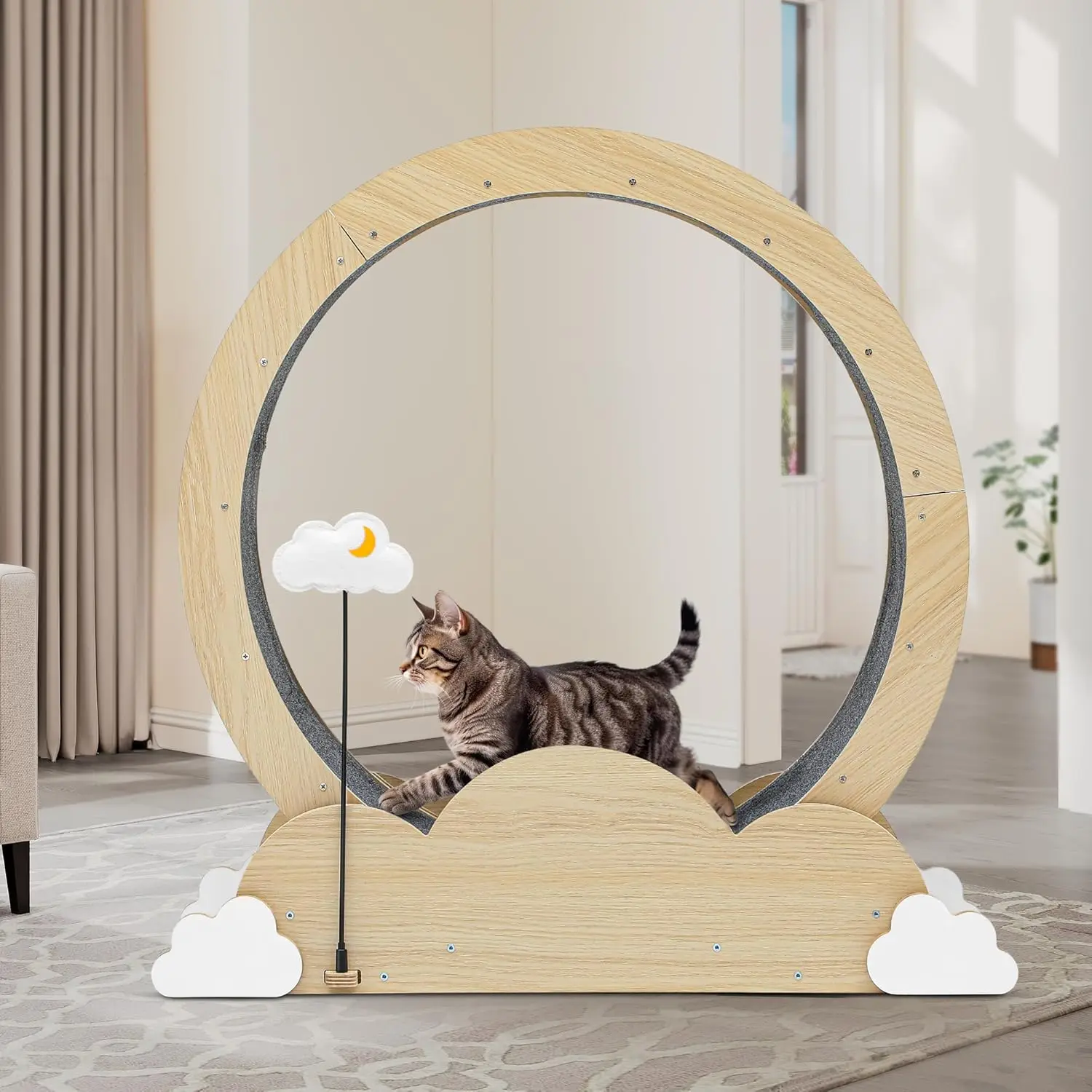 Cat Exercise Wheel for Indoor Cats with Locking Mechanism, Natural Solid Wood Sturdy Cat Treadmill Wheel with Detachab