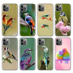 lovely birds Phone Case For iPhone 17 Air 11 13 Mini 14 15 Plus 16 12 Pro Max 16E SE 7 8 Pattern Soft TPU Back Cover Case For Ap