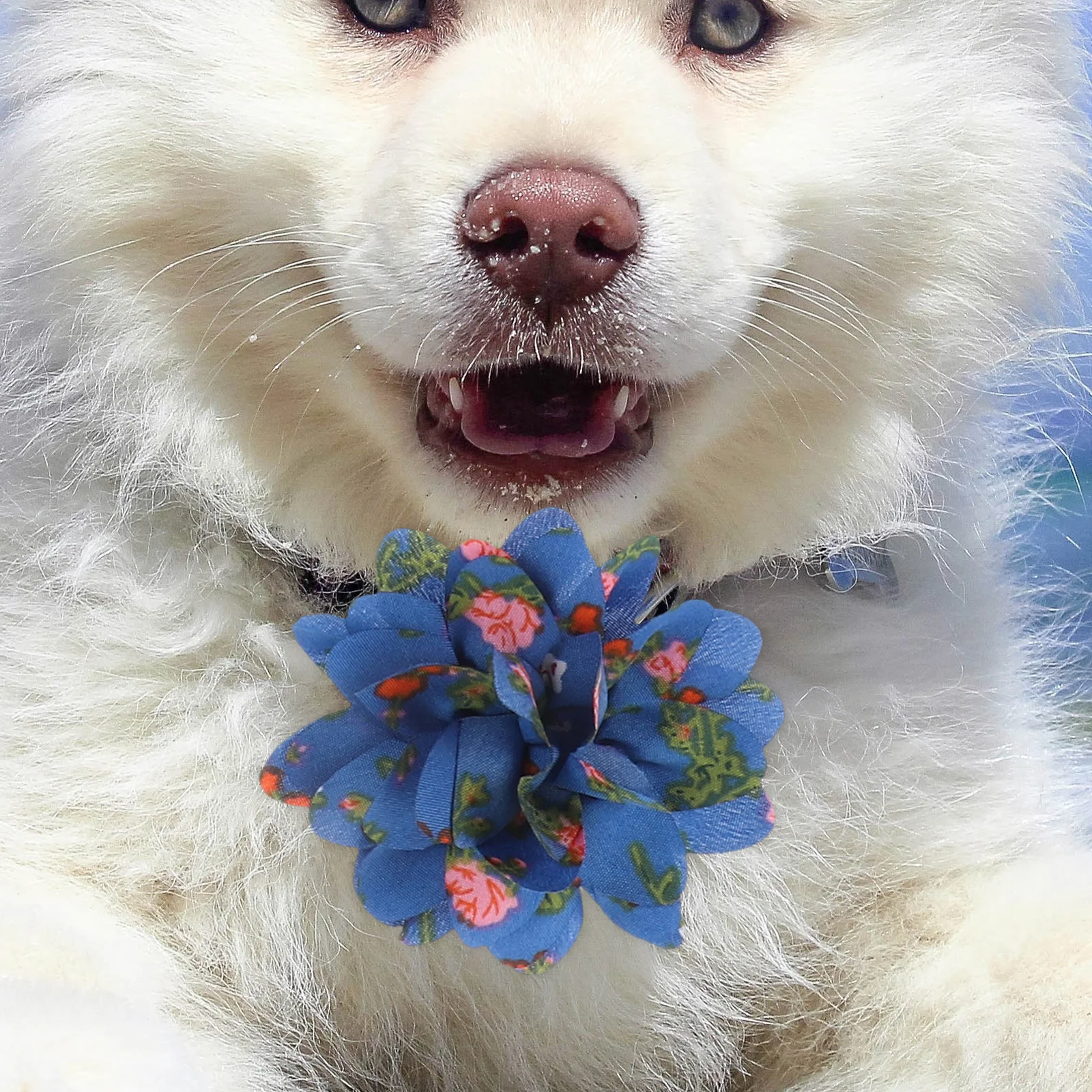 

10 Pcs Pet Headgear Multicolor Neck Collar Dog Flowers Decoration Puppy Grooming Accessories Cat Flower Pet Supplies