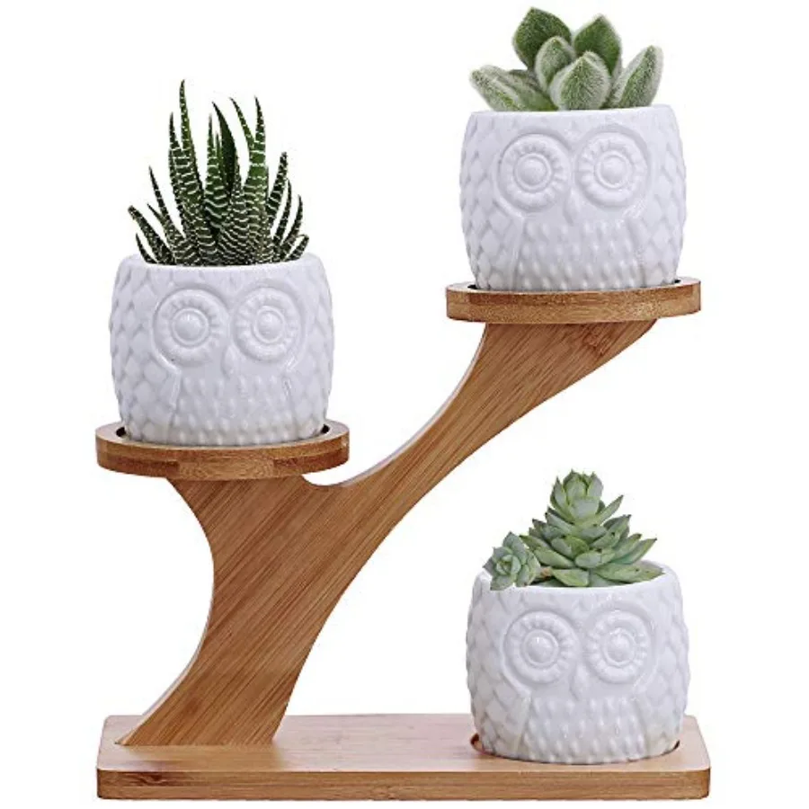

3pcs Owl Succulent Pots with 3 Tier Bamboo Saucers Stand Holder White Modern Drative Ceramic Flower Planter with Drainage Home