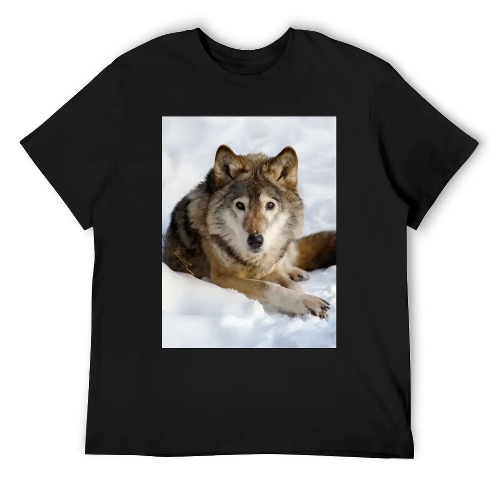 Wolf (canis lupus) portrait T-Shirt graphic t shirts street wear customs design your own men clothes