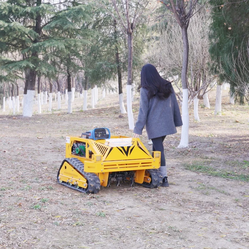 

Customized Intelligent Control Crawler Remote Control Lawn Mower Portable small remote control flail mower