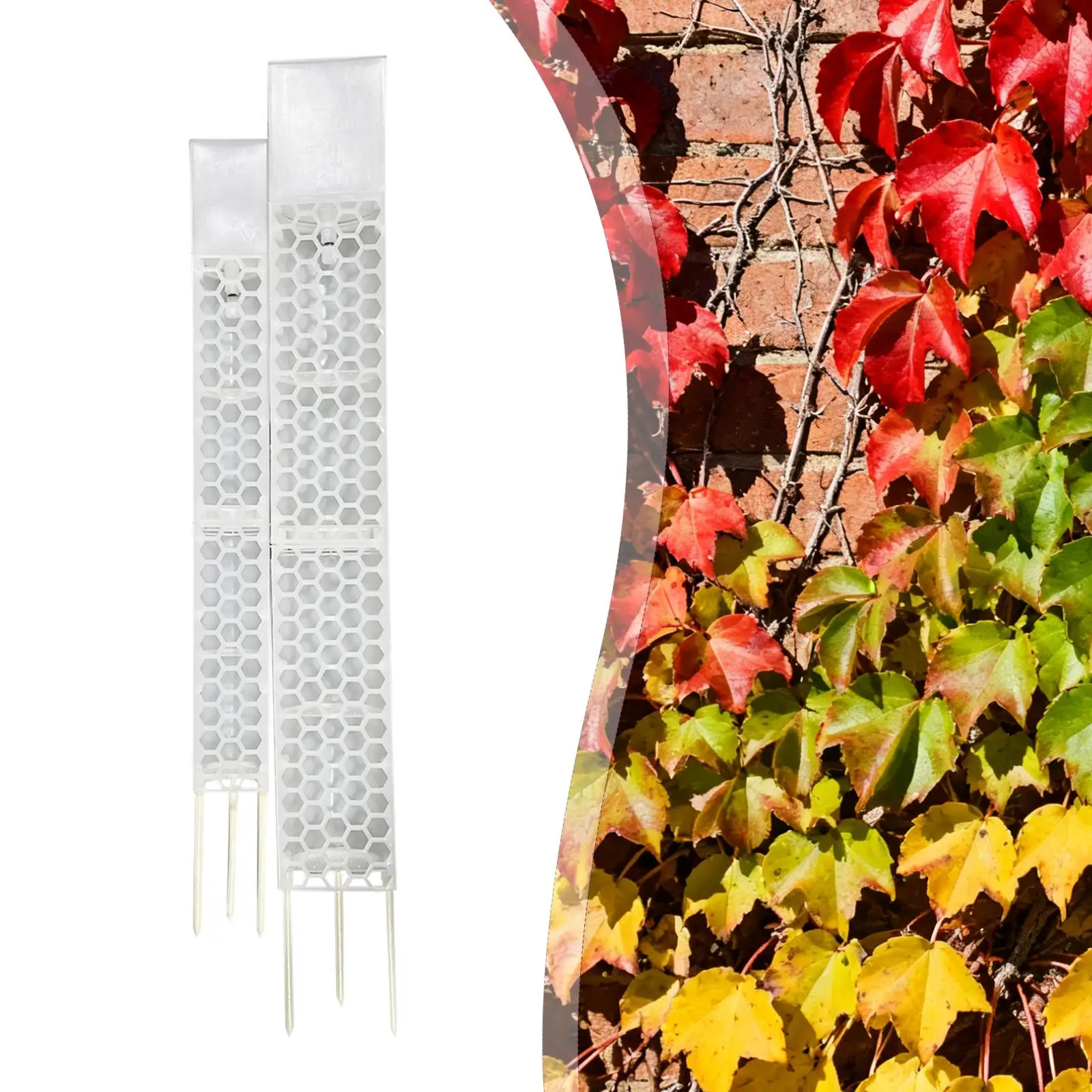 

Мотыльковая опора для растений: прочная, простая в установке, для формирования растений, для вьющихся растений и садоводов