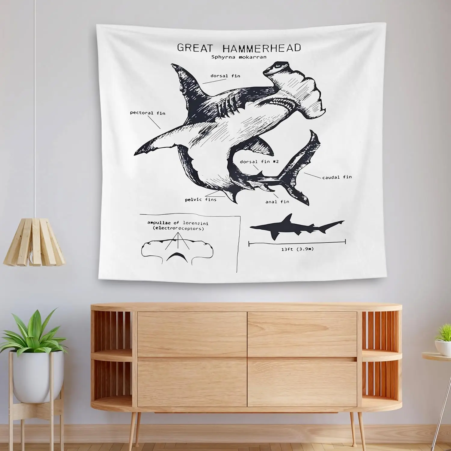 Shark Tapestry, Great Hammerhead Tapestry Wall Hanging, Ocean Beach Shark Great Hammerhead Wall Decor Blanket for Classroom