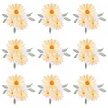 PE9047CT