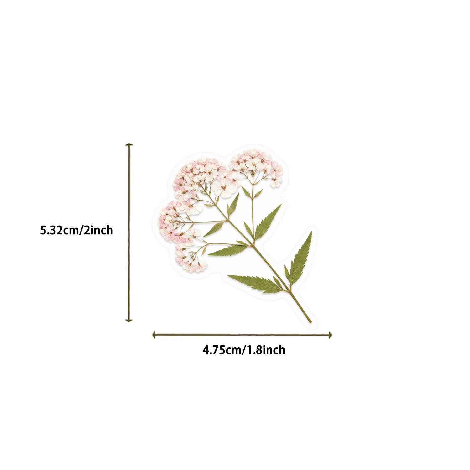 50pcs Transparent Mixed Flower Plants Stickers for DIY Waterproof Suitcase Phone Laptop Water Bottle Laptop Scrapbooking