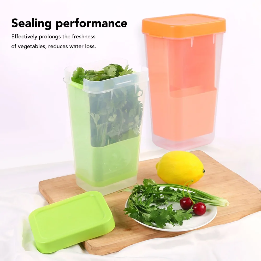 Effective Plastic Cilantro Storage Container Transparent Asparagus Container Herb Saver For Refrigerator