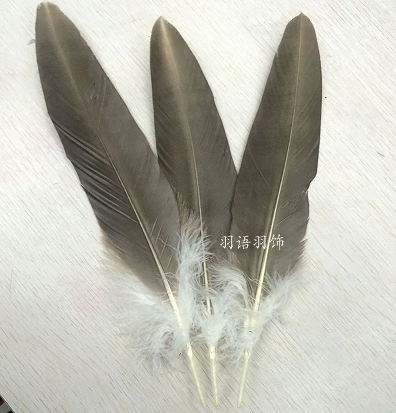 Rare Eagle Feather Natural Rare Horse Eagle Feather Household Flower Arrangement Decorative Feather Home Dec