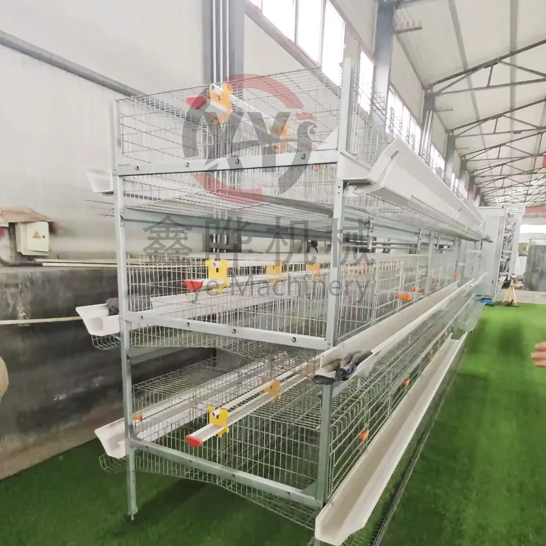 H Type Laying Hen Stacked Cage Small Layer Design with Automatic Manure Cleaning Long Service Life Poultry Housing Equipment
