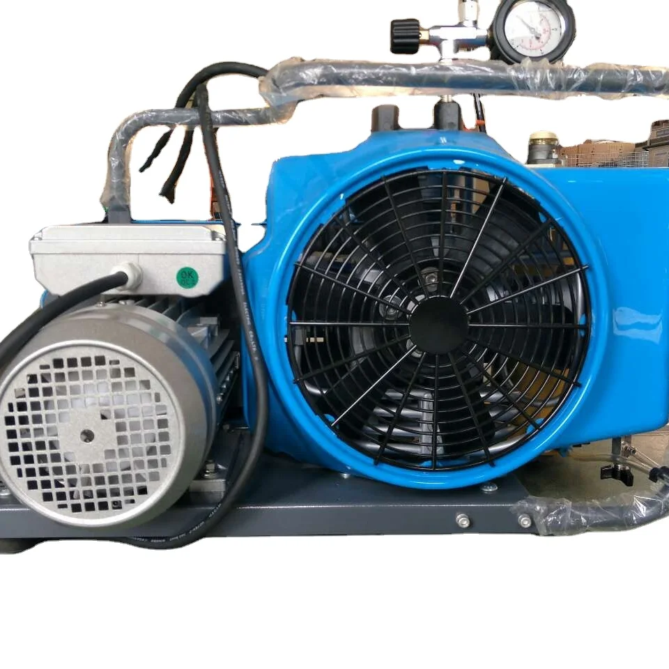 Compresor de buceo Bauer Scuba, fábrica china RMC, compresor de aire de alta presión para buceo, para Senapan Angin Pcp