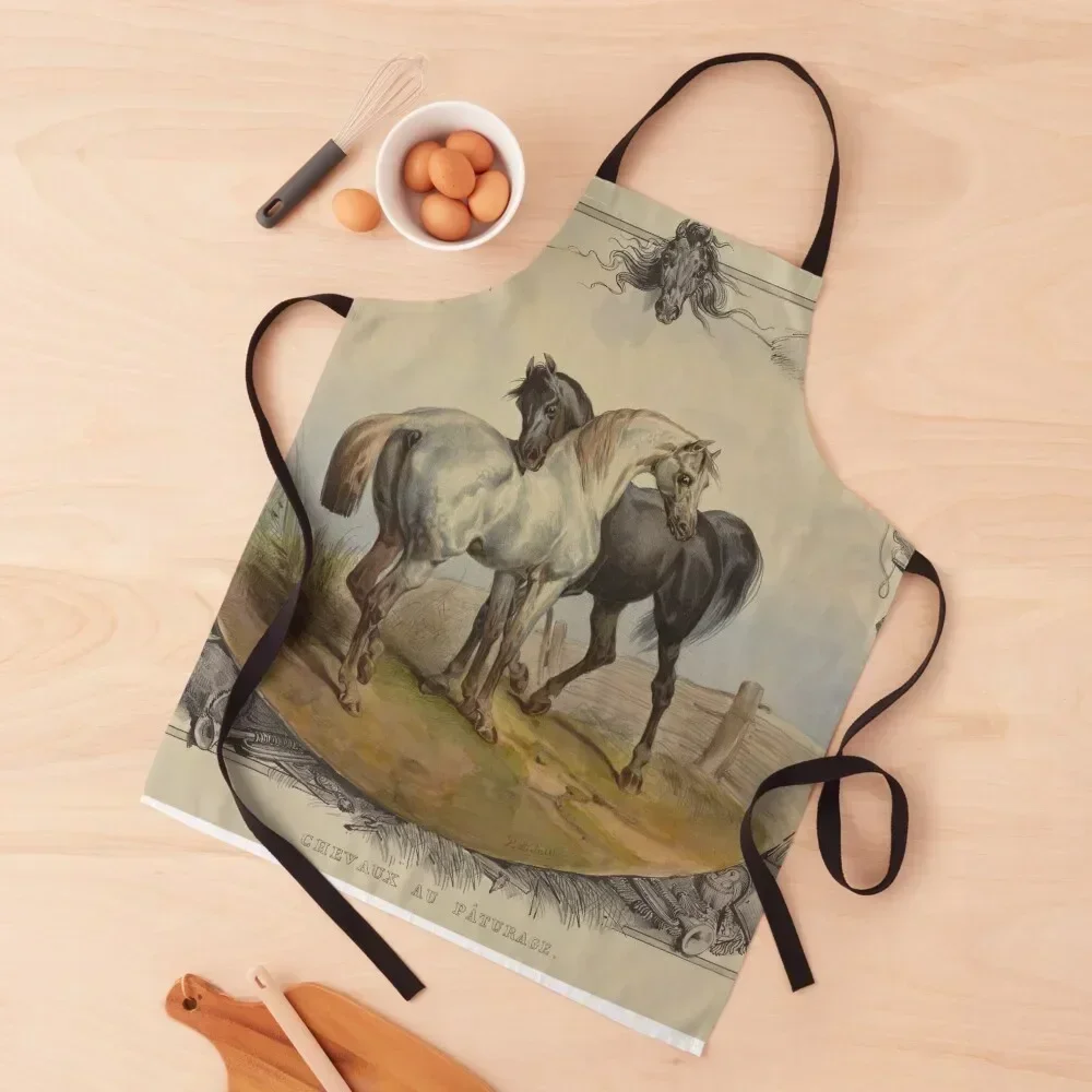 

Beautiful Horses Lithography (1838) Apron Women's Kitchens Accessories Kitchen Apron