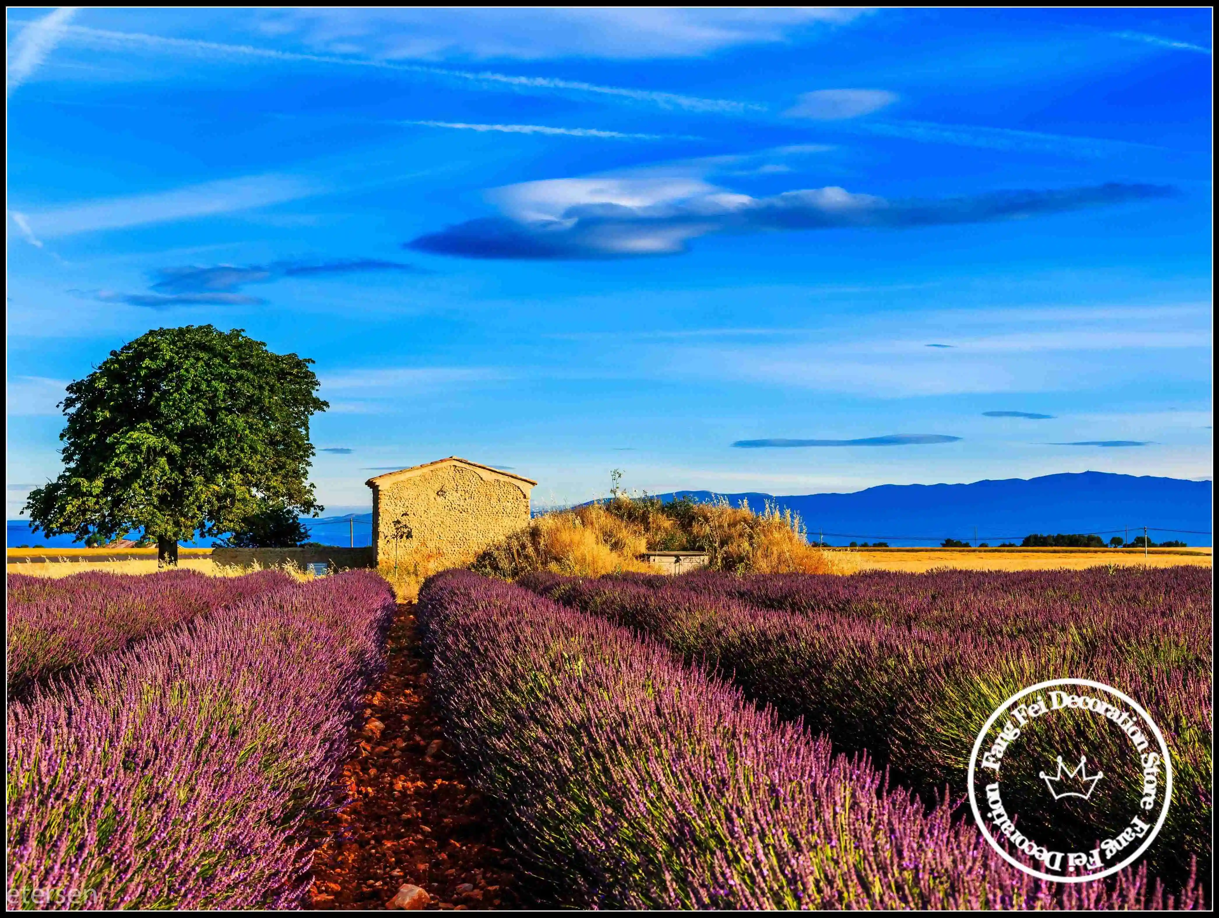 Peinture diamant sans cadre, paysage de la Provence, France, paysage rural de lavande, art mural, br