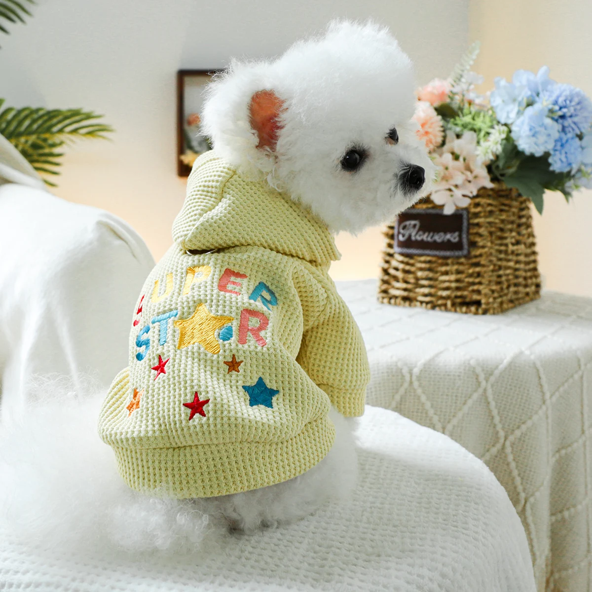 1PC pet clothing dog spring and autumn yellow color super star hat jacket suitable for small and medium -sized dogs