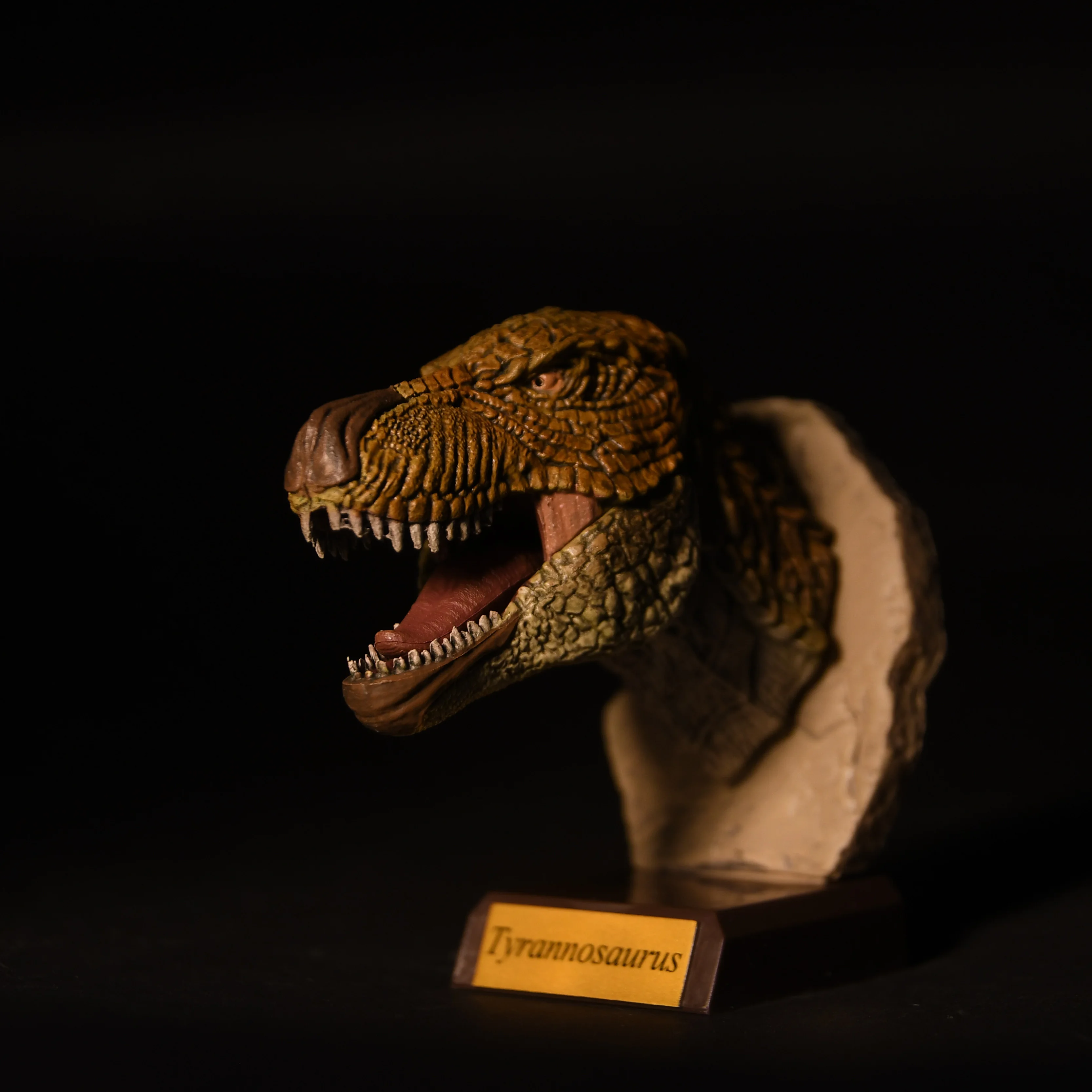 Qualia capsulespeelgoed Echte woeste Dinosaur Head Collection jachttrofee Triceratops Tyrannosaurus realistische ornamentenfiguren