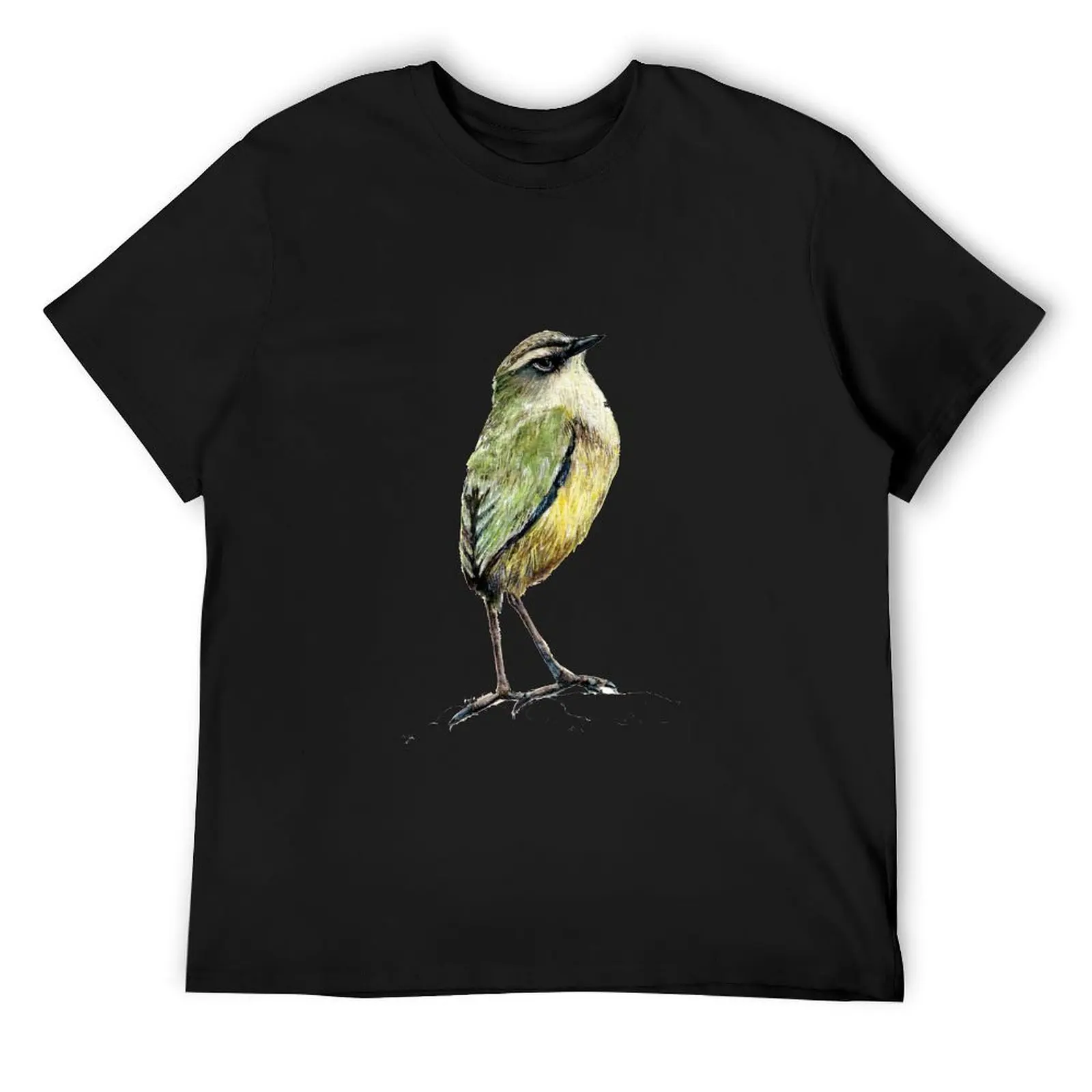 Mr Tuke, Rock wren bird of New Zealand T-Shirt blanks vintage cute clothes street wear mens funny t shirts