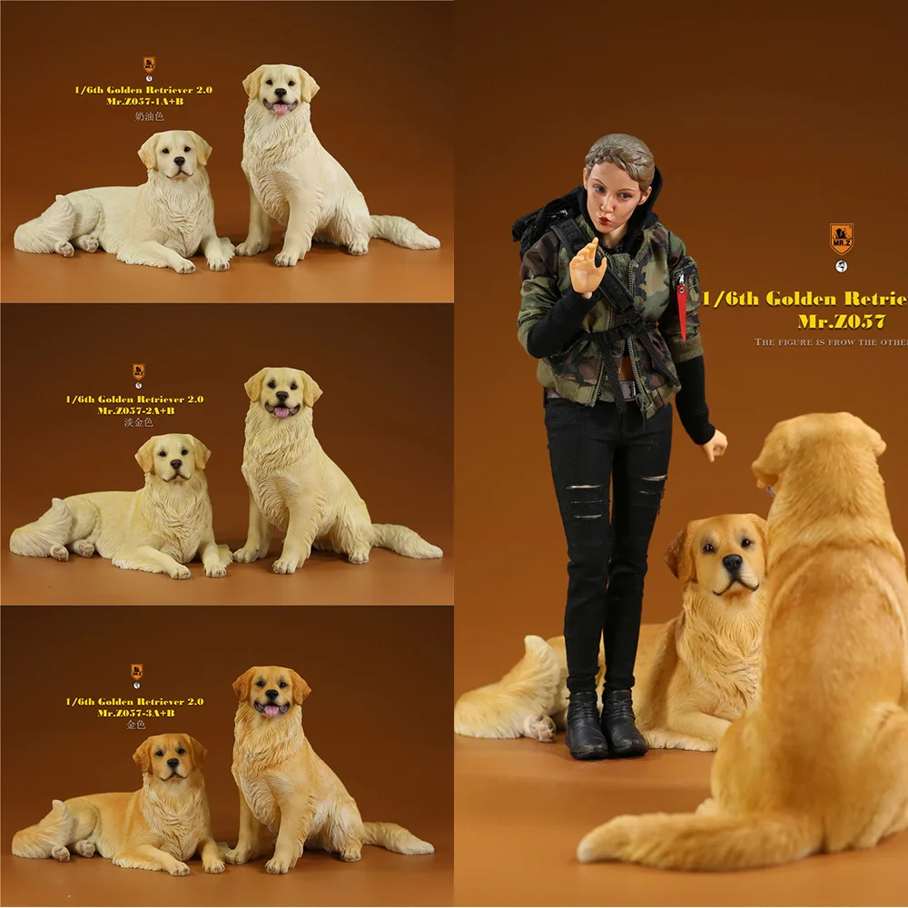 

1/6 Figure Scene Accessories Simulation MR. Z Animal Model No.57 Golden Retriever 2.0 Model for 12 inches Solider Action Figure