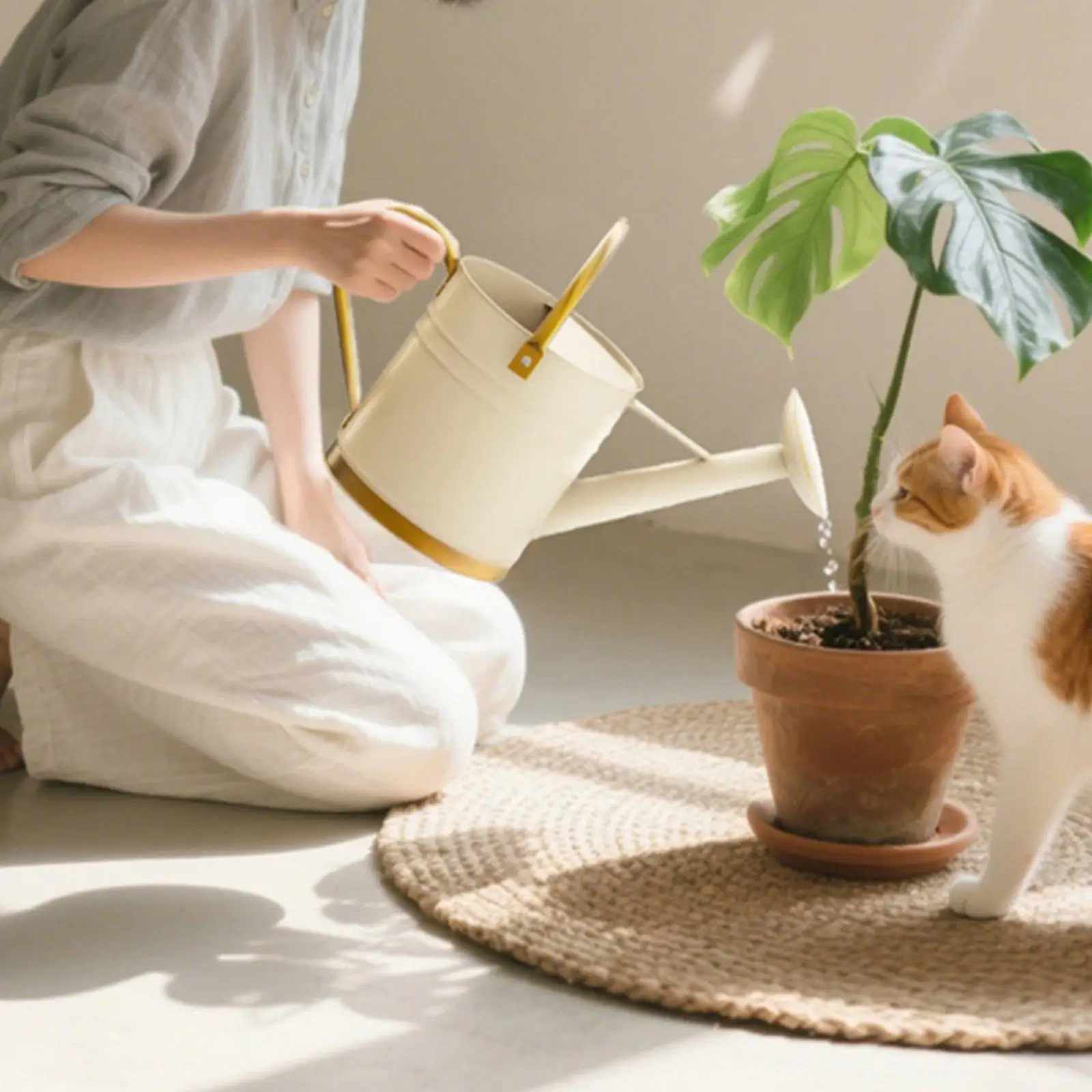 Long Spout Watering Can Leak-Proof Metal Watering Pot for Balcony, Office view 3