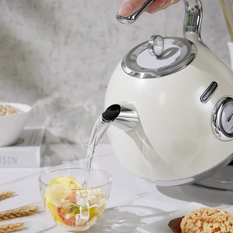 Bouilloire électrique rétro domestique, eau chaude, grande capacité, acier inoxydable 316, contrôle de la température importé