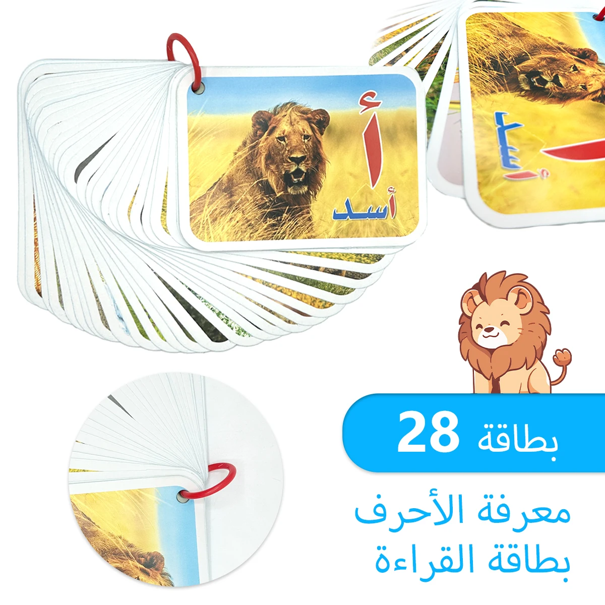 

A must-have for the back-to-school season! 28 Arabic animal letter flashcards for children's early education learning cards