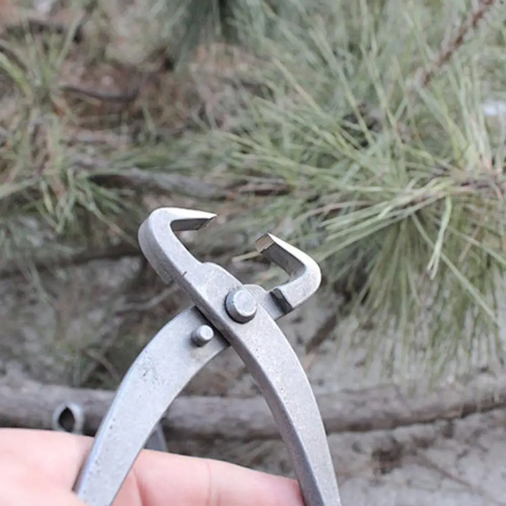 

Professional Bonsai Pruning Tools Stainless Steel Bonsai Pruning Shears Trunk Splitter Set for Precision Tree for Healthy