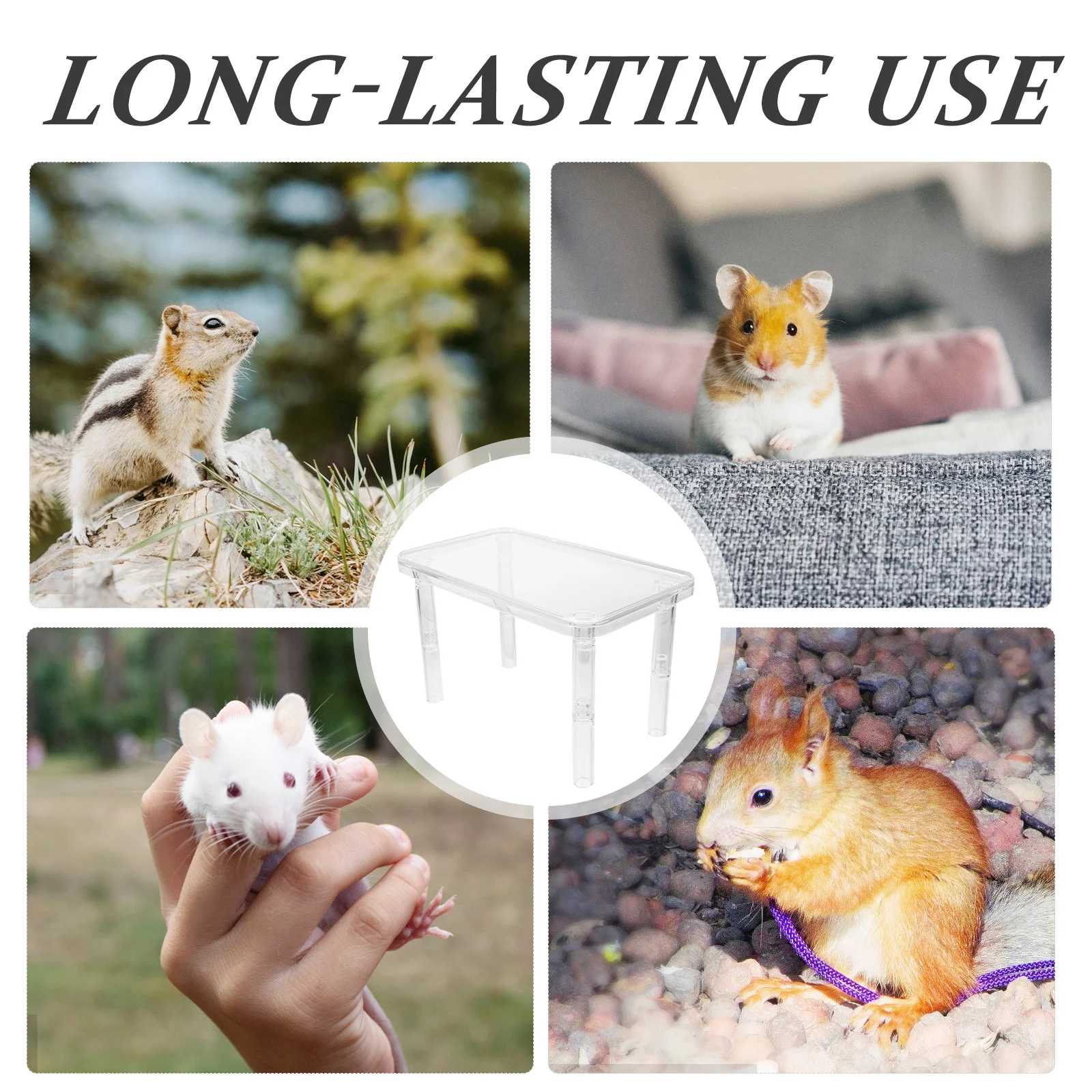 

1 Set Delicate Hamster Bed Wear-Resistant Small Pet Unique Design Decorative Cage Accessory Chinchilla