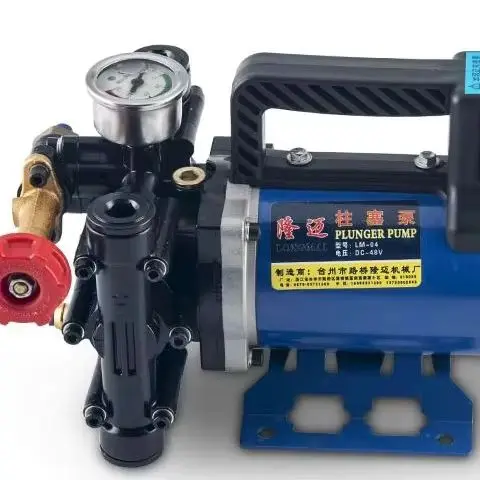 

Двухцилиндровый насос высокого давления, плунжер, сельскохозяйственный опрыскиватель, садовый насос давления, насос для мойки автомобиля 12 В/24 В/48 В/60 В/220 В