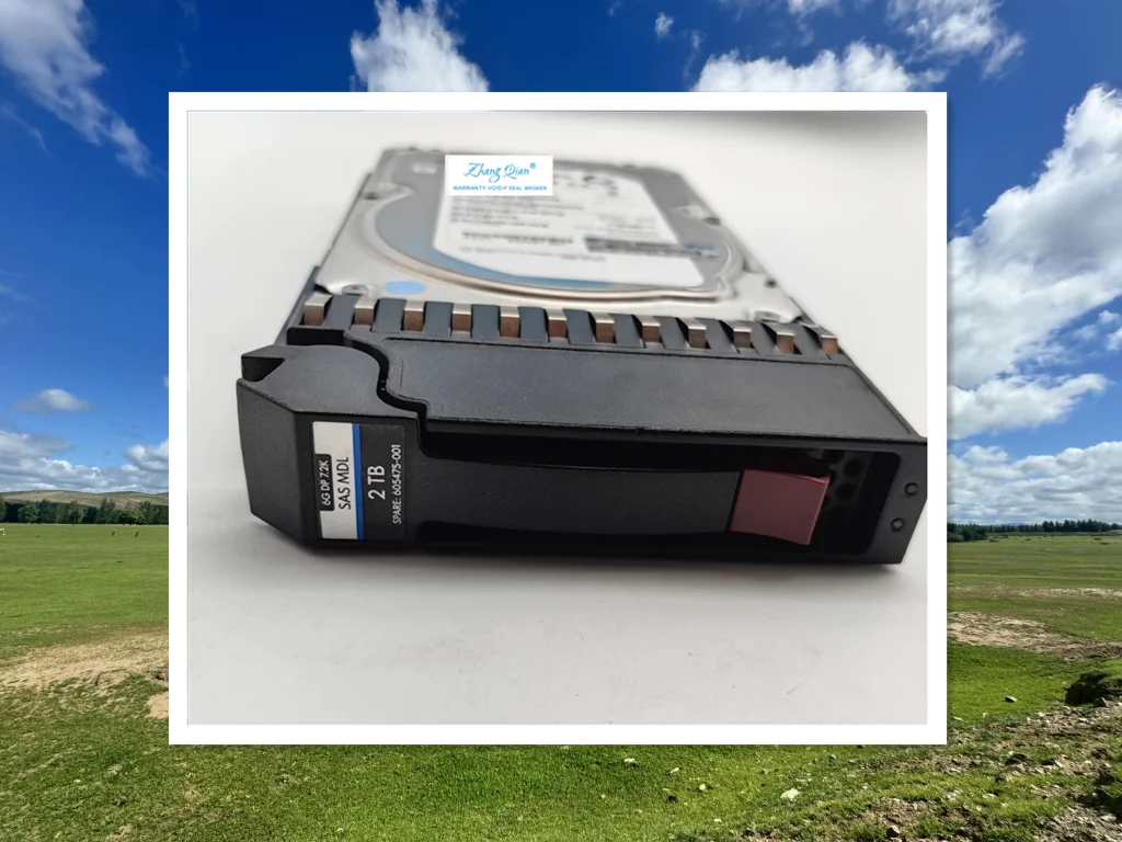 

For AW555A P2000 2TB SAS-FC 7.2K 3.5 605475-001