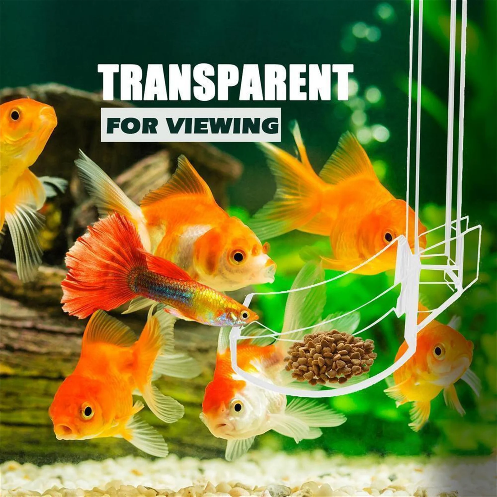 Aquarium Transparent Feeding Tube Set Acrylic Aquarium Feeder Fish Feeder Shrimp Feeder Fish Tank Feeding Accessories Tools