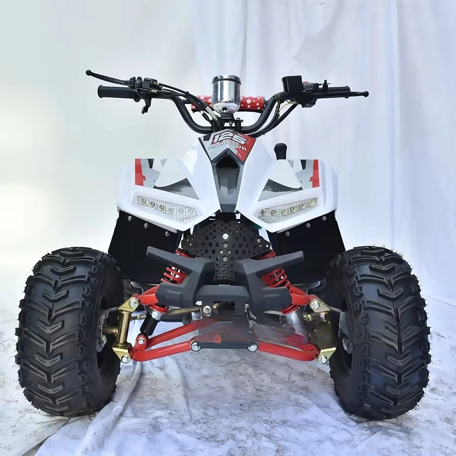 Professional Factory 110cc Aurui Youth Quad With 4 Wheels