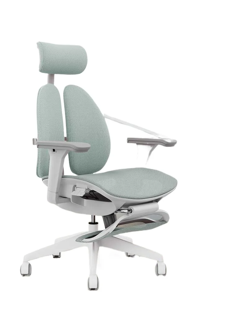 

Ergonomic Chair Computer Chair
