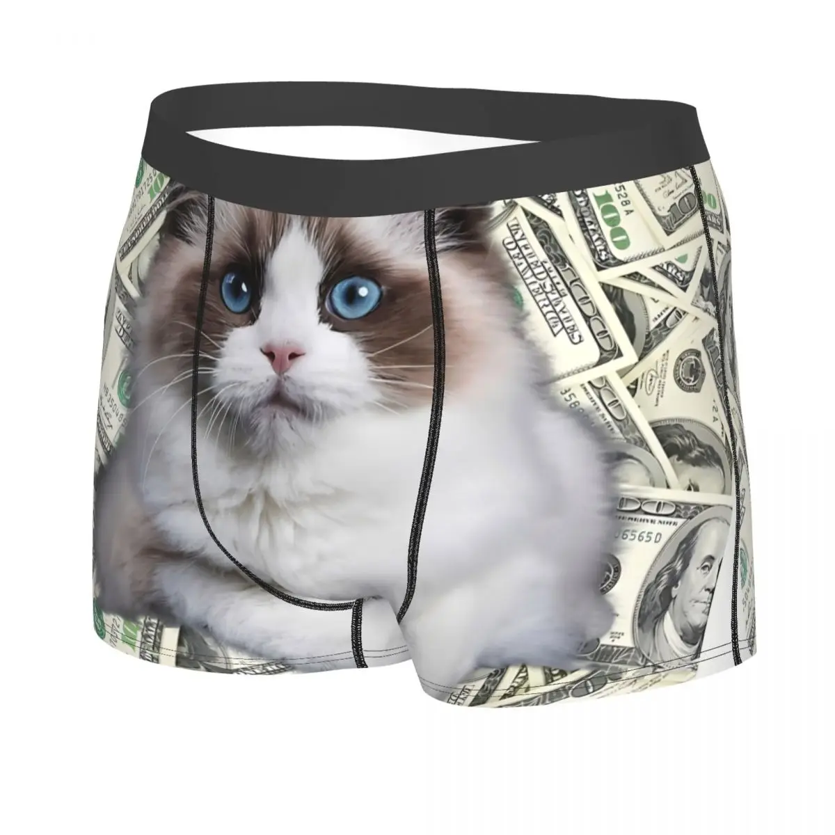 Very Rich Cute Himalayan Cat Man's Boxer Briefs Money Breathable Funny Underwear Top Quality Print Shorts Gift Idea