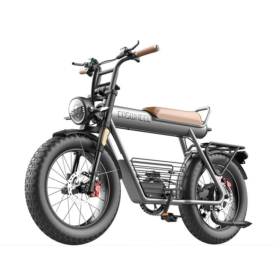 

Fat Tire Beach Cruiser Electric Bike 750w 1000w Ebike New High Quality Professional Customized Sports Fat Tire Mountain