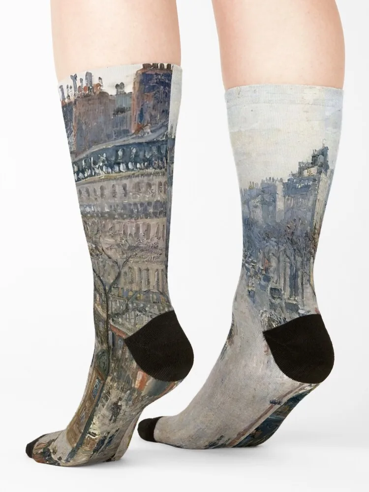 camille pissarro famous paintings, camille pissarro artwork, camille pissarro self portrait Socks Children's Socks Women Men's
