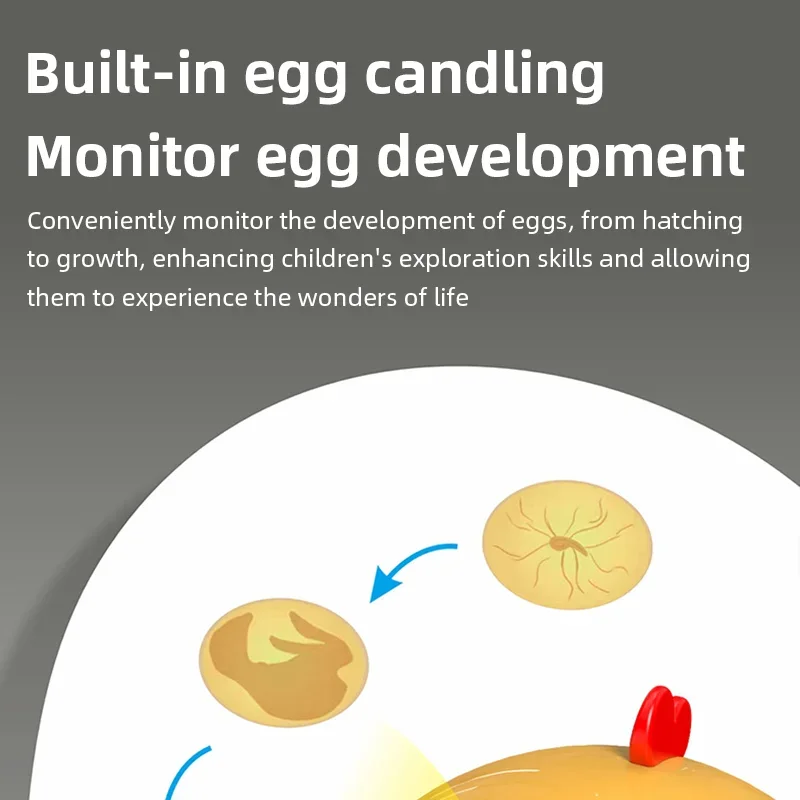 حاضنات أوتوماتيكية صغيرة، حاضنات أوتوماتيكية للأطفال، حاضنات بيض الدجاج والطيور لزراعة الدواجن