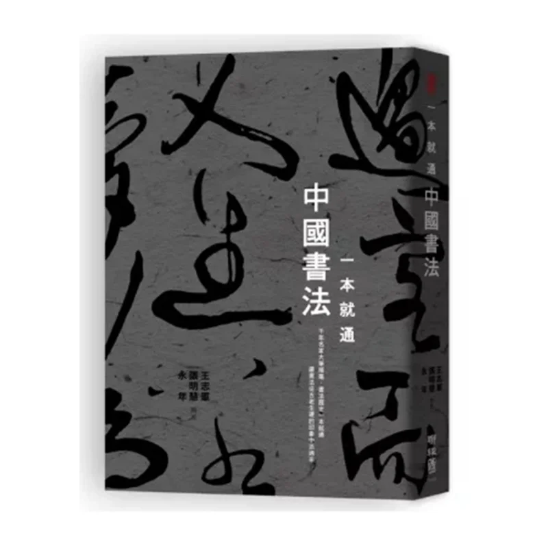 

One Book To Understand Chinese Calligraphy Wang Zhijun Zhang Minghui Yongnian Lianjing 9789570842005 Book
