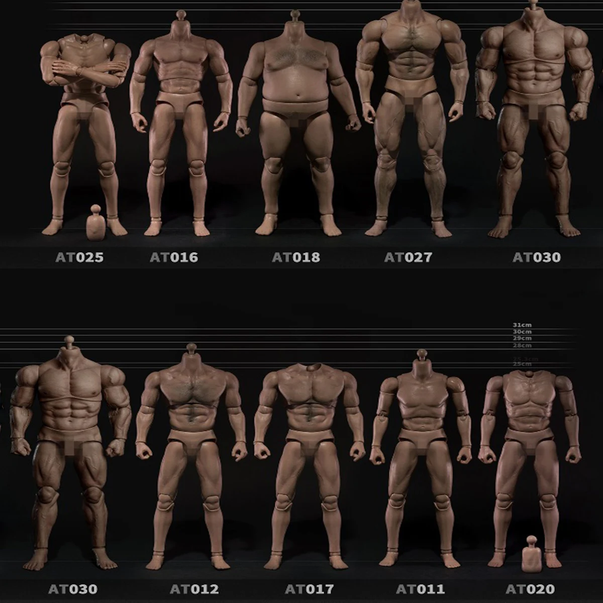 

1/6 Scale Action Figure Doll Strong Muscles or Normal Durable Body Accessories For 12" Male Collectible Figures Model B501