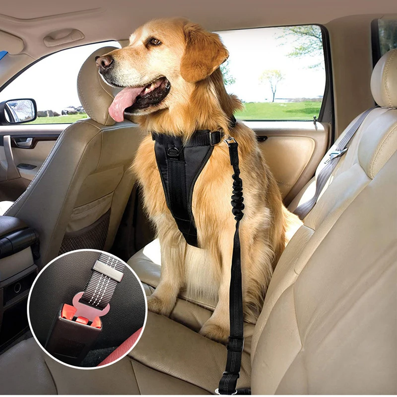 Popular new of reflective dog car seat belt 25mm pet towing belt stretchable buffering elastic reflective safety towing rope