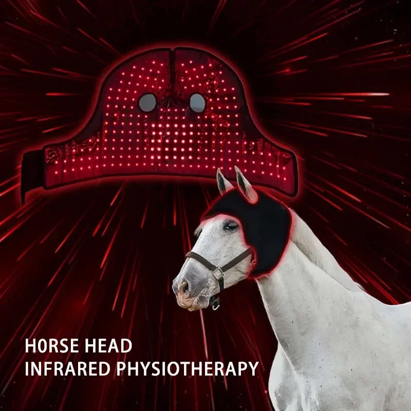 Built in Battery Red Light Therapy for Horse Veterinary Instrument Horse Therapy Tendon Boots Rep Equine Therapy Blanket