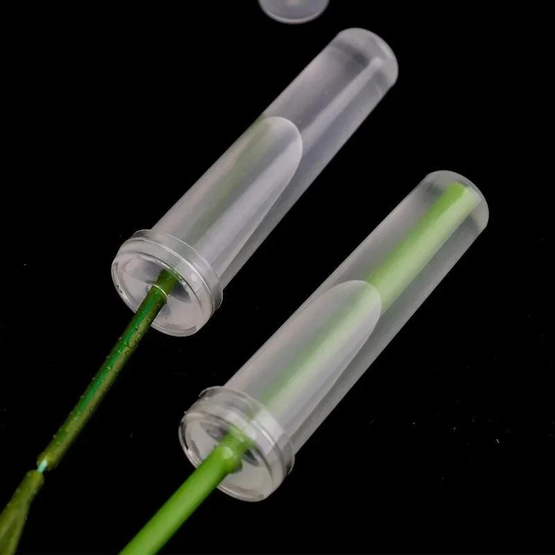 Clear Flower Water Tubes with Caps, Acrylic Stem Hydration Vials for Cut Flowers, Bouquets and Floral Arrangements