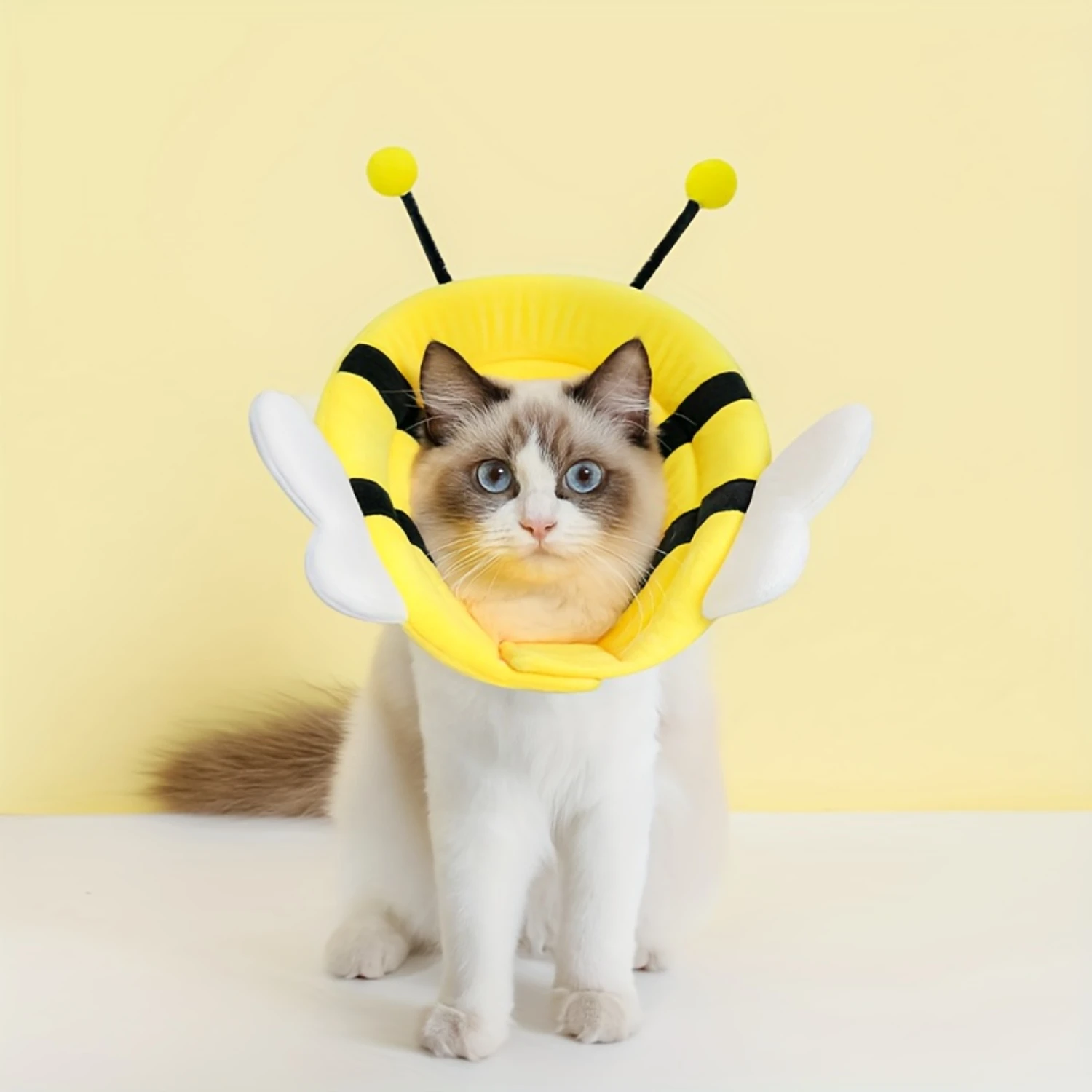 Bee Design Pet Cone for Dog & Cat, Anti-Scratch After Surgery, Stop Licking & Scratching Cone