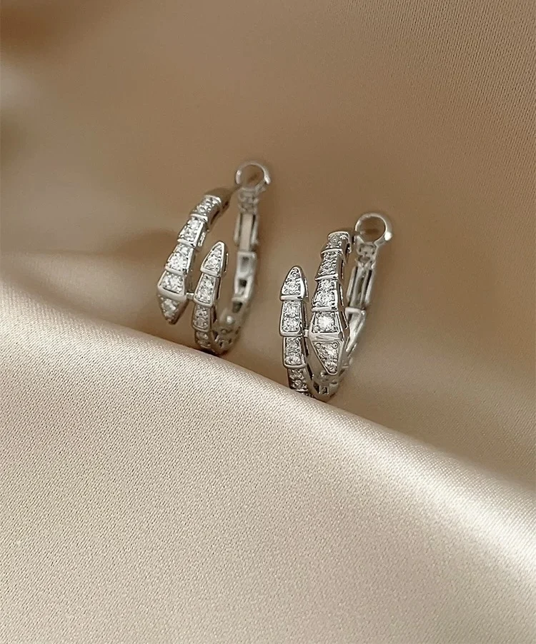 

2025 Luxury Sparkling Sliver Snake Earrings for Women, Jewelry Gift for Birthday Anniversary Valentines Day With pretty Gift Box