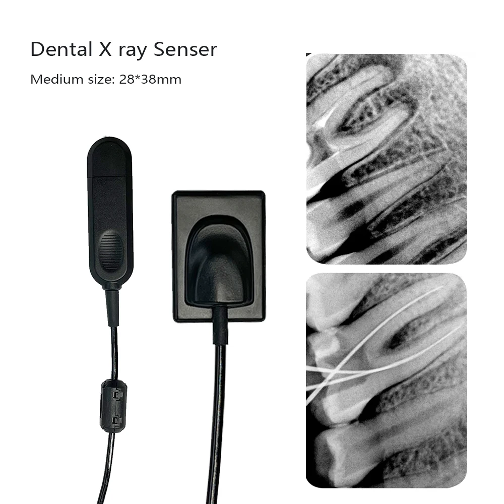 Dental x-ray Sensor Medium  Size DynImage Fast Transmission Digital Intraoral System Intra-Oral with Software Clear Image 3m